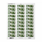 Étiquette Superbe Lys de la Vallée (Feuille entière)