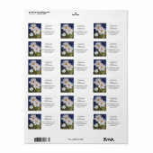 Étiquette Superbes Fleurs de marguerite blanche en Aquarelle (Feuille entière)