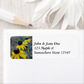 Étiquette Susans aux yeux noirs (En situation)