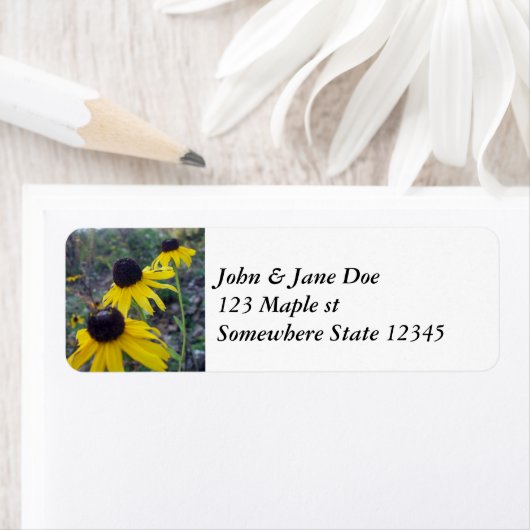 Étiquette Susans aux yeux noirs (En situation)