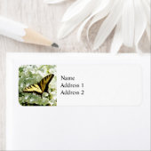 Étiquette Swallowtail sur Hydrangea blanc (En situation)