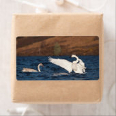 Étiquette Swan (En situation)