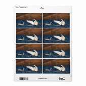 Étiquette Swan (Feuille entière)