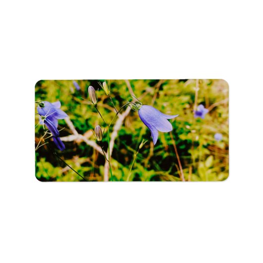 Étiquette Swedish Bluebell (Devant)