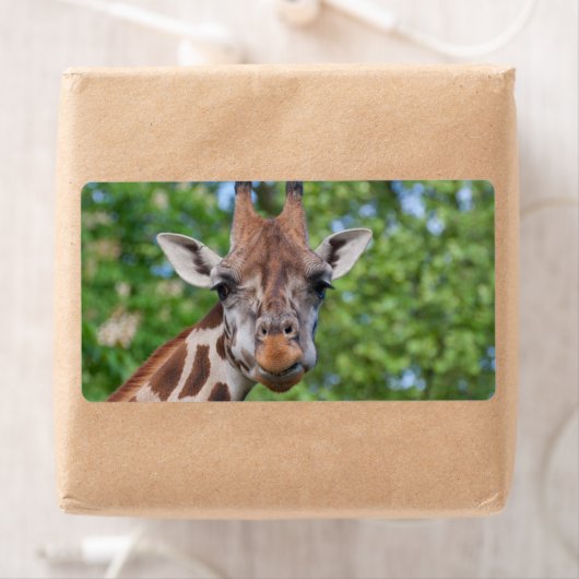 Étiquette Sweet Curios Giraffe (En situation)