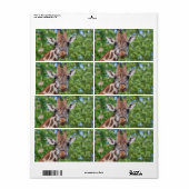 Étiquette Sweet Curios Giraffe (Feuille entière)