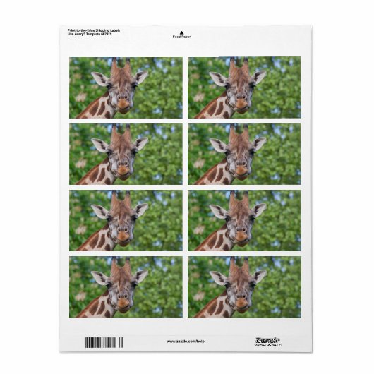 Étiquette Sweet Curios Giraffe (Feuille entière)