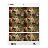 Étiquette Sweet Haflinger Foal (Feuille entière)