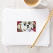 Étiquette Sweet Shih Tzu ADRESSE (En situation)