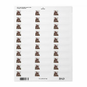 Étiquette Tabby (Feuille entière)