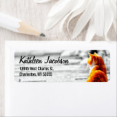 Étiquette Tabby A-PAL Tinted Orange Tabby Peinture Personnal (En situation)