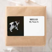 Étiquette Tabby Blanc Avec Patches Sombres (En situation)