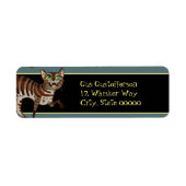 Étiquette Tabby Cat (Devant)