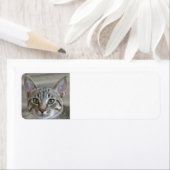 Étiquette Tabby kitten (En situation)