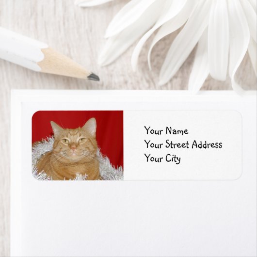 Étiquette Tabby orange Noël (En situation)