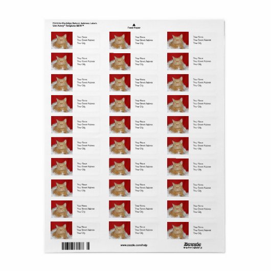 Étiquette Tabby orange Noël (Feuille entière)