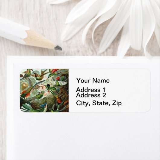 Étiquette tableau classique de la faune des oiseaux colibris (En situation)