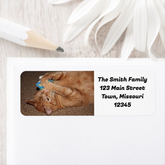 Étiquette Tater (En situation)