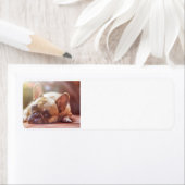 Étiquette tauromachie (En situation)