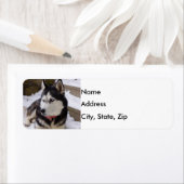 Étiquette Temps De Repos (En situation)