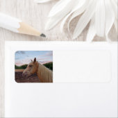 Étiquette Tennessee Walking Horse (En situation)