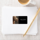 Étiquette Terrier Airedale Nouvelle Adresse (En situation)