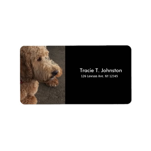 Étiquette Terrier Airedale Nouvelle Adresse (Devant)