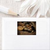 Étiquette test (En situation)