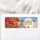 Étiquette Thanksgiving Morning (En situation)