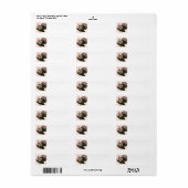 Étiquette Thanksgiving Turquie (Feuille entière)