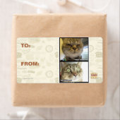 Étiquette Thermomètre (En situation)