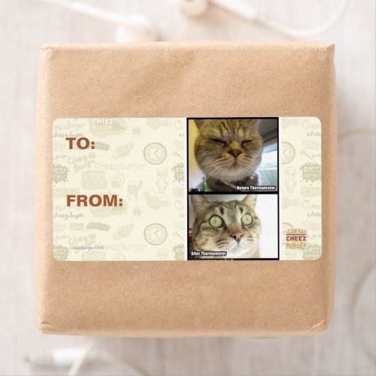 Étiquette Thermomètre (En situation)