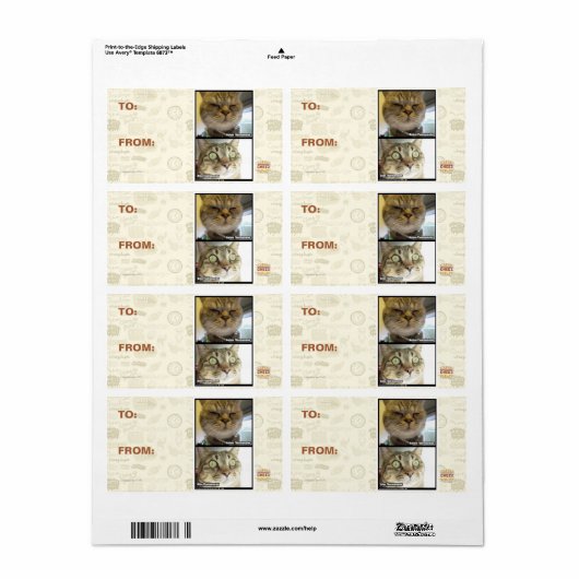 Étiquette Thermomètre (Feuille entière)