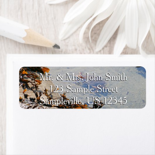 Étiquette Tidepool at Sand Beach (En situation)