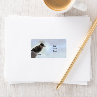 Étiquette Tidi my Bird le Parus Major