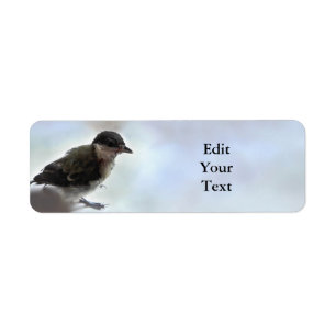 Étiquette Tidi my Bird le Parus Major