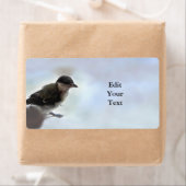 Étiquette Tidi my Bird le Parus Major (En situation)