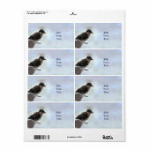 Étiquette Tidi my Bird le Parus Major (Feuille entière)