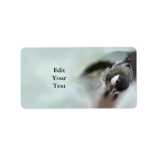 Étiquette Tidi my Bird le Parus Major