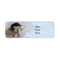 Tidi my Bird le Parus Major
