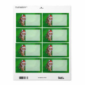Étiquette Tigre mignon à Santa Chapeau en vert (Feuille entière)