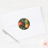 Étiquette tomate (Enveloppe)