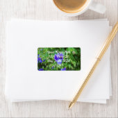 Étiquette Torenia (En situation)