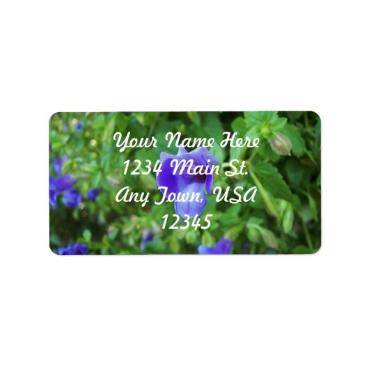 Étiquette Torenia (Devant)