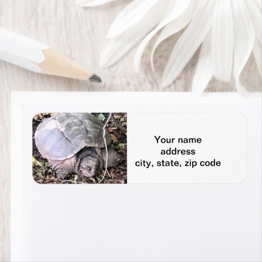 Étiquette Tortue (En situation)