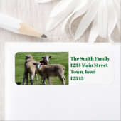 Étiquette Touristes (En situation)