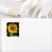 Étiquette Tournesol (En situation)