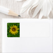 Étiquette Tournesol (En situation)