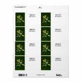 Étiquette Tournesol et Épervier (Feuille entière)