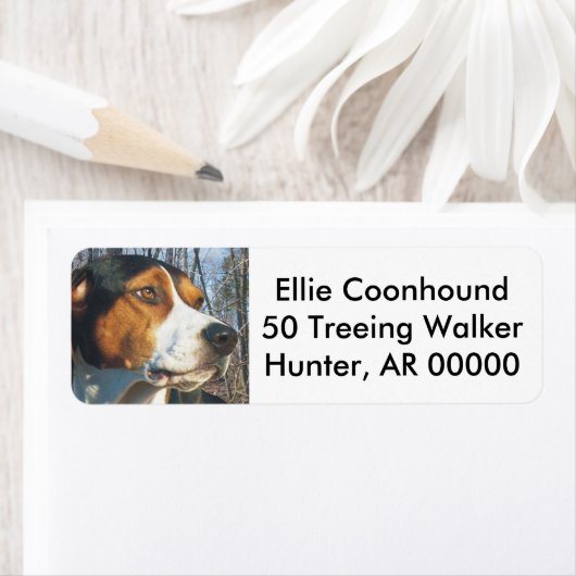 Étiquette Treking Walker Coonhound (En situation)